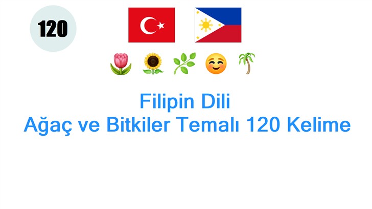 Filipin Dili: Ağaç ve Bitkiler Temalı 120 Kelime